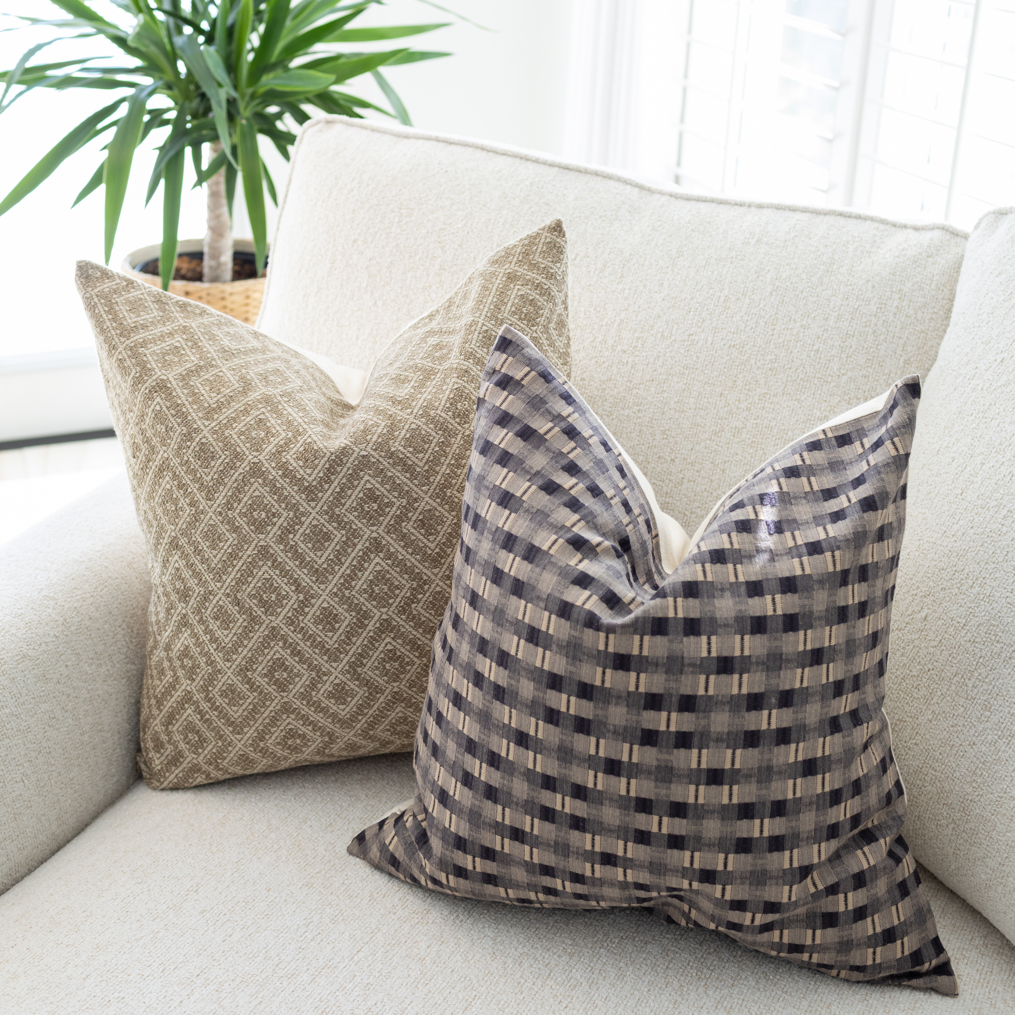Two patterned pillows on a light-colored sofa with a plant in the background.
