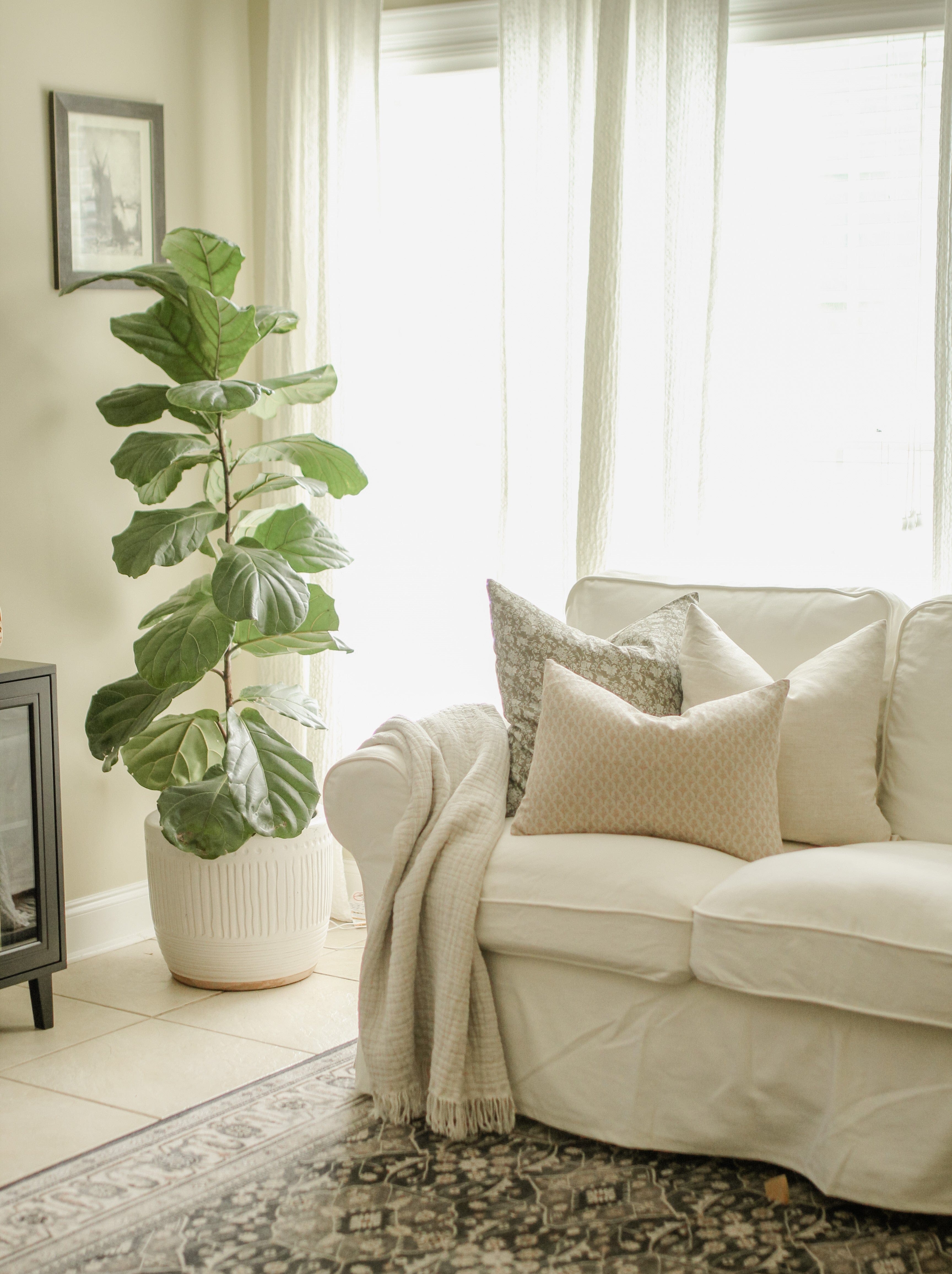 neutral sofa pillow set of 3 blush cream olive